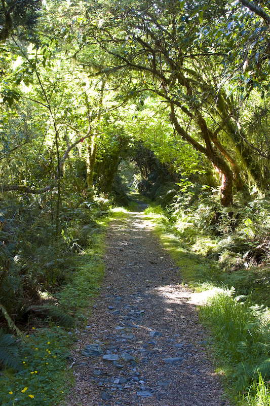 The Milford Track